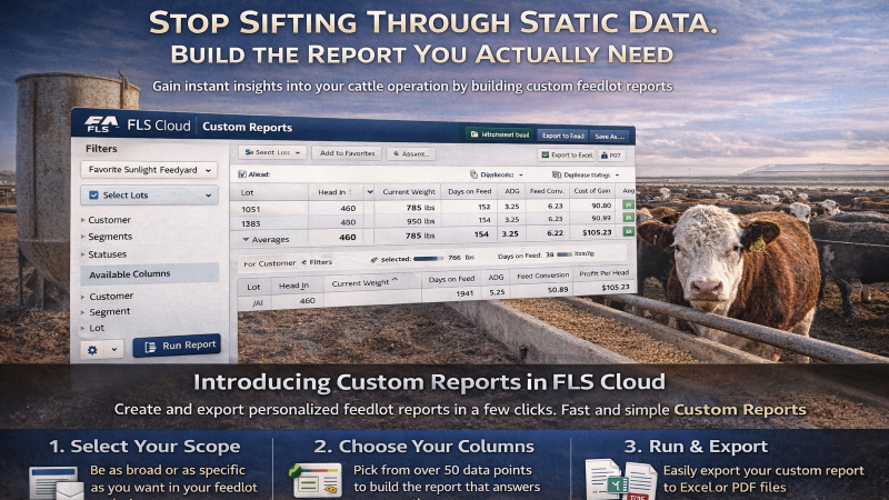 FeedlotSolutions.com