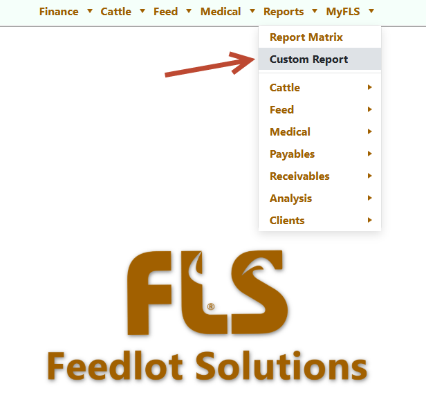 FLS Cloud Custom Report Menu